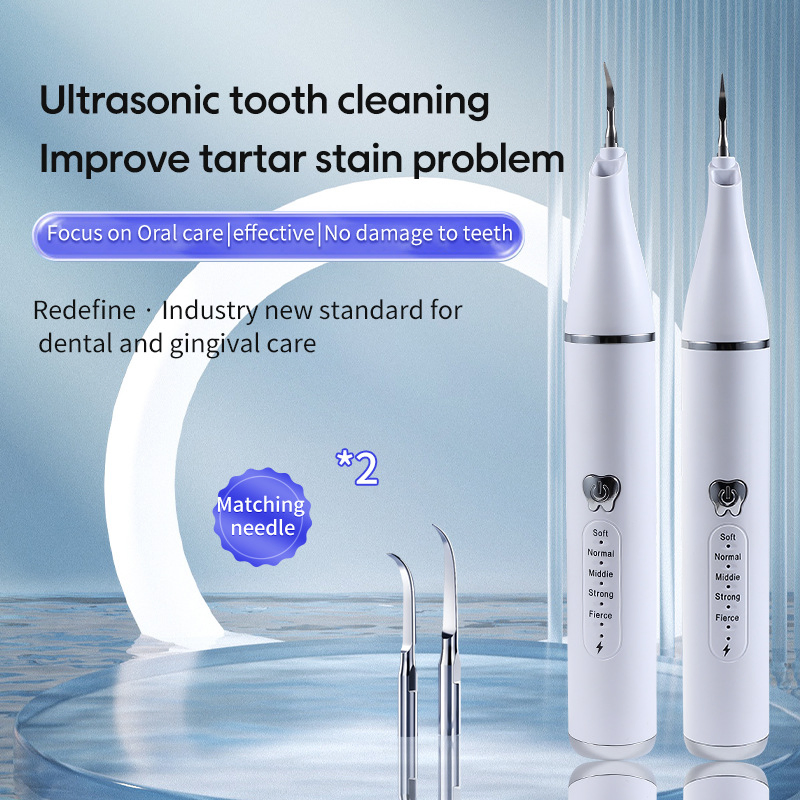 Compact Oral Care Flosser for Travel-Friendly Dental Cleaning