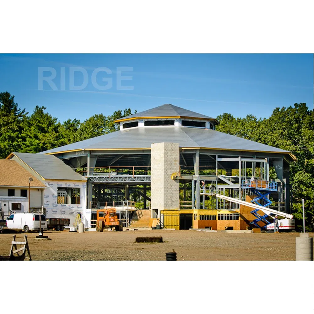 China Prefab Steel Structure Building Modern Frame Building for Sale