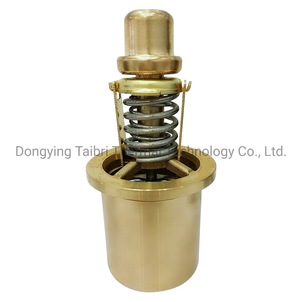 Taibri Thermostatic Valve Kit T2108