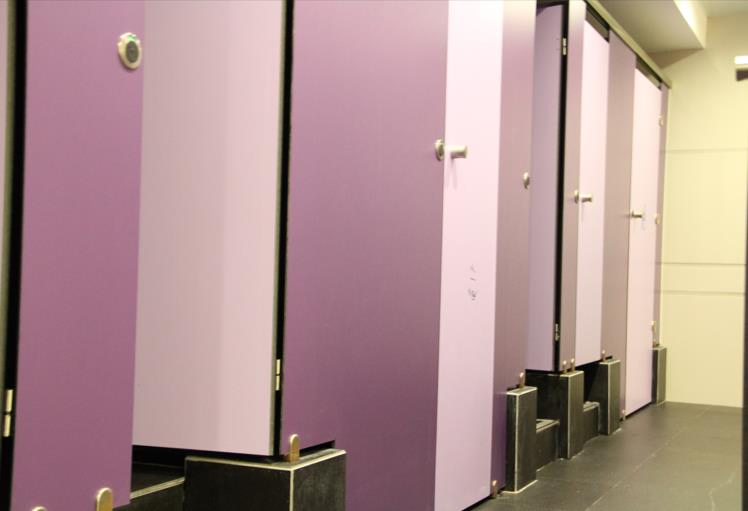 Waterproof Changing Room Public Toilet Partition Board