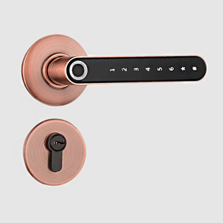Smart Password Bluetooth-Compatible Lock with Mechanical Key for Indoor Wooden Metal Door