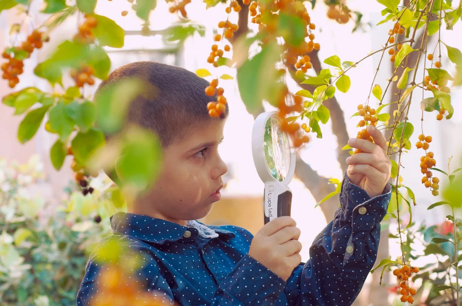 Loupe LED Magnifying Glass with Light 3 Interchangeable Lenses 2.5X 5X 16X Magnifier