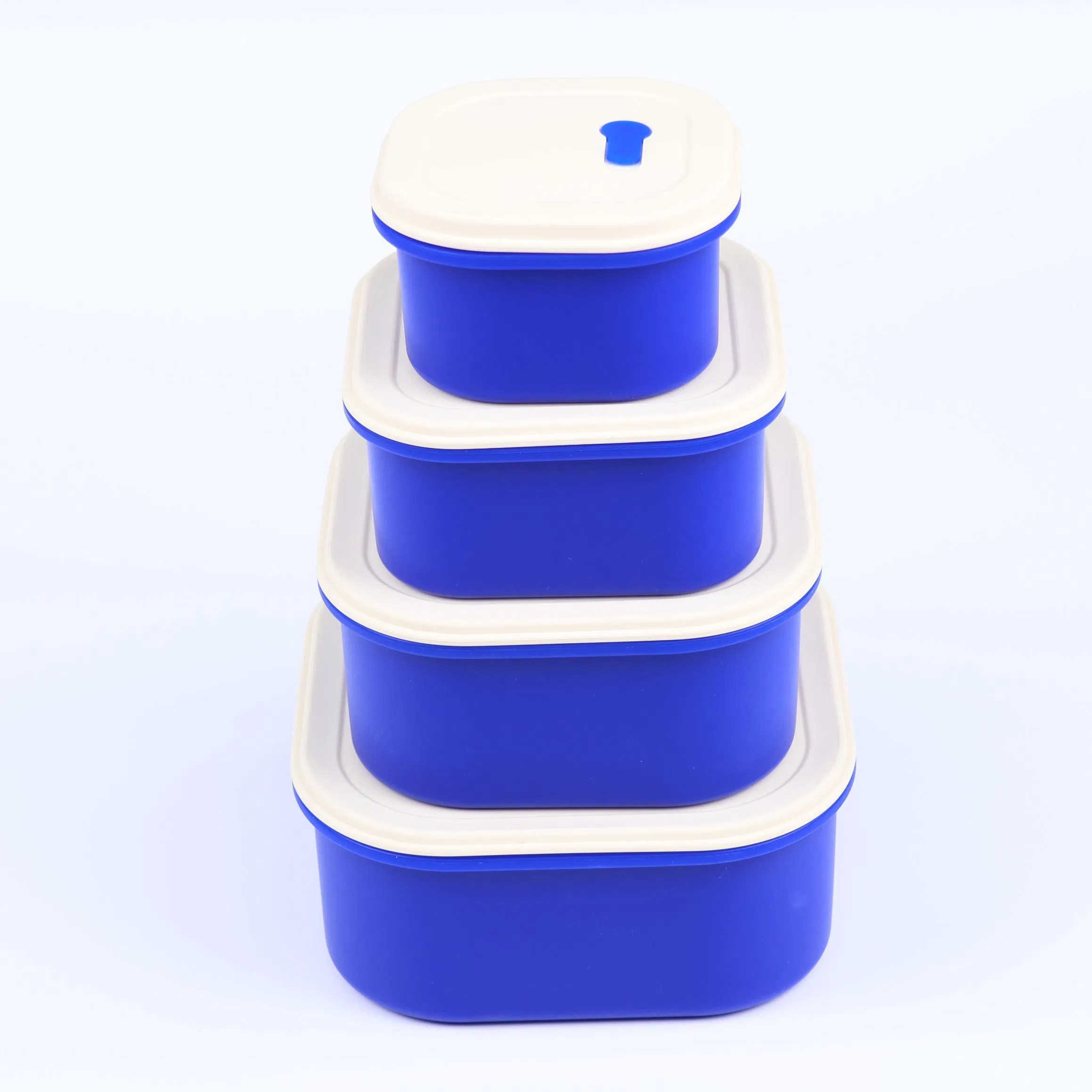 Set of 4 Airtight Hard-Shell Premium BPA-Free Food Storage Containers Silicone Bento Lunch Containers Lunch Box