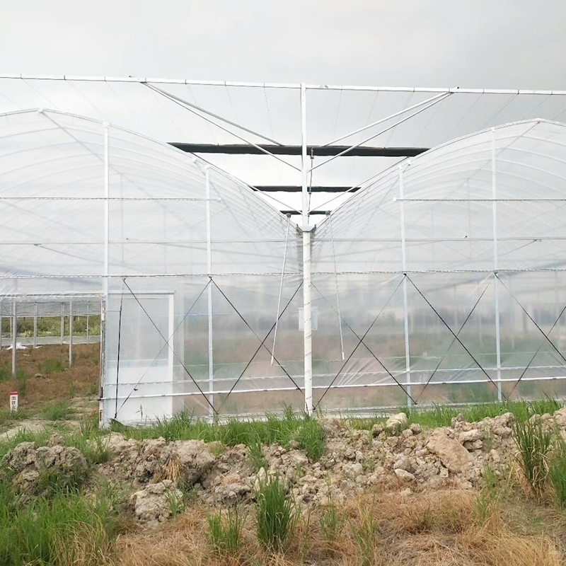 Four Season Tunnel UV Resistance Multi Span Farm Greenhouse for Vegetables Growing