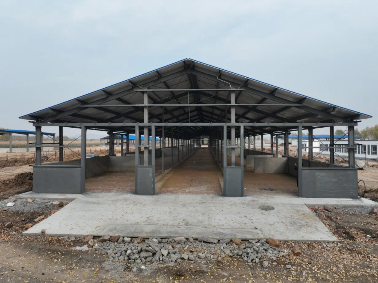 Metal China Factory Supply High-Strength Light Prefabricated Steel Structure