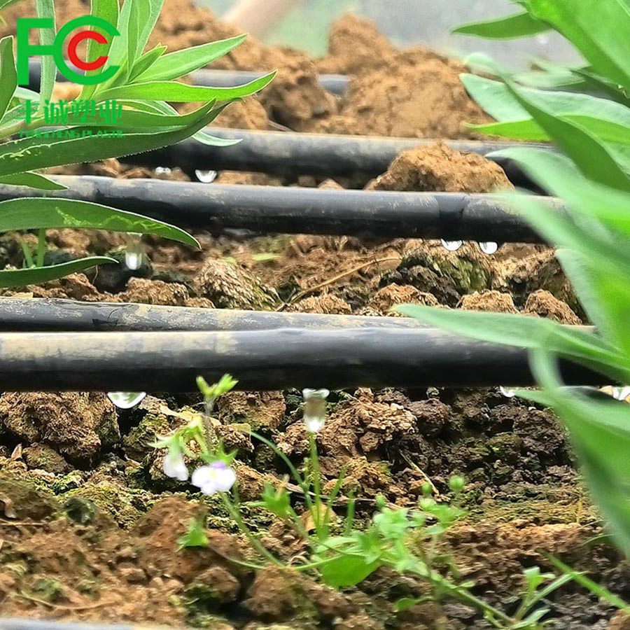 High Quality 16mm PE Pipe Irrigation Tubing Drip Tapes for Agricultural Drip Irrigation