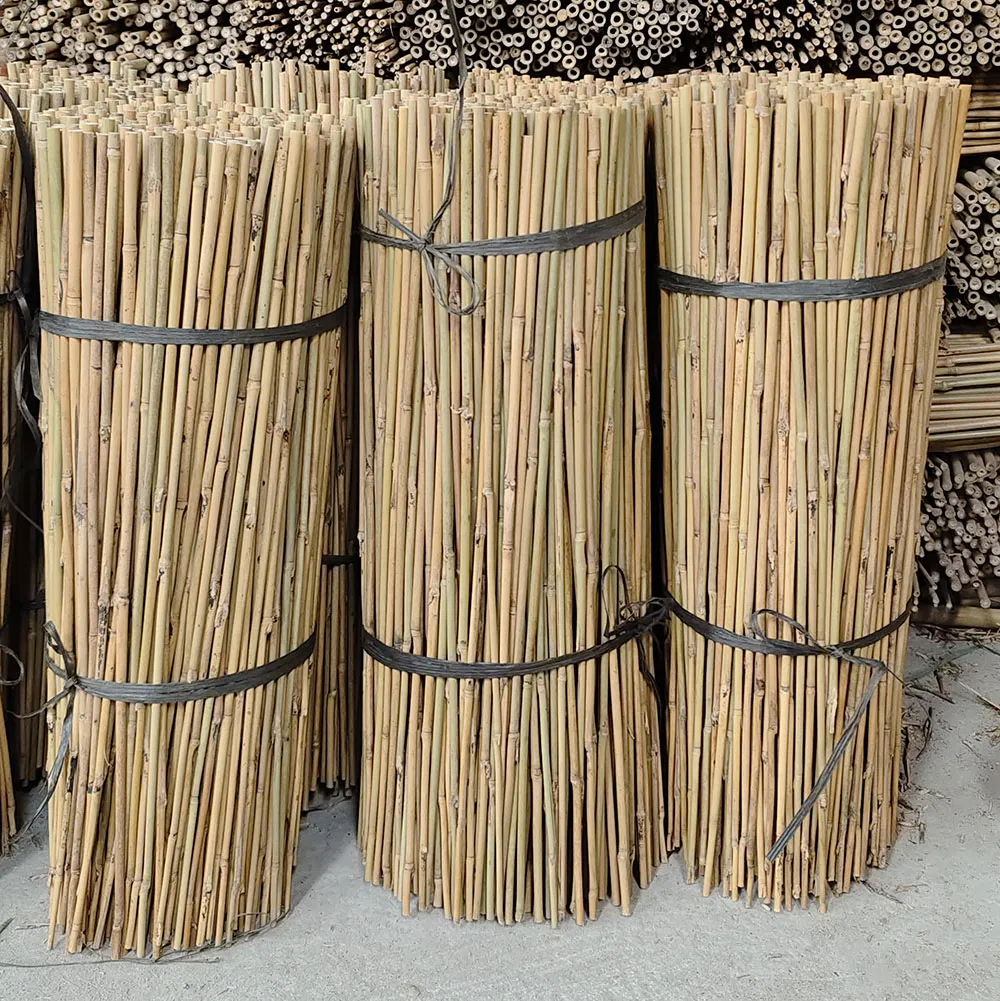 Tonkin Natural Bamboo Stake 1FT 2FT 3FT Length Eco-Friendly Support Plant Bamboo Pole Cane Bamboo Stick for Garden Nursery Plant Support