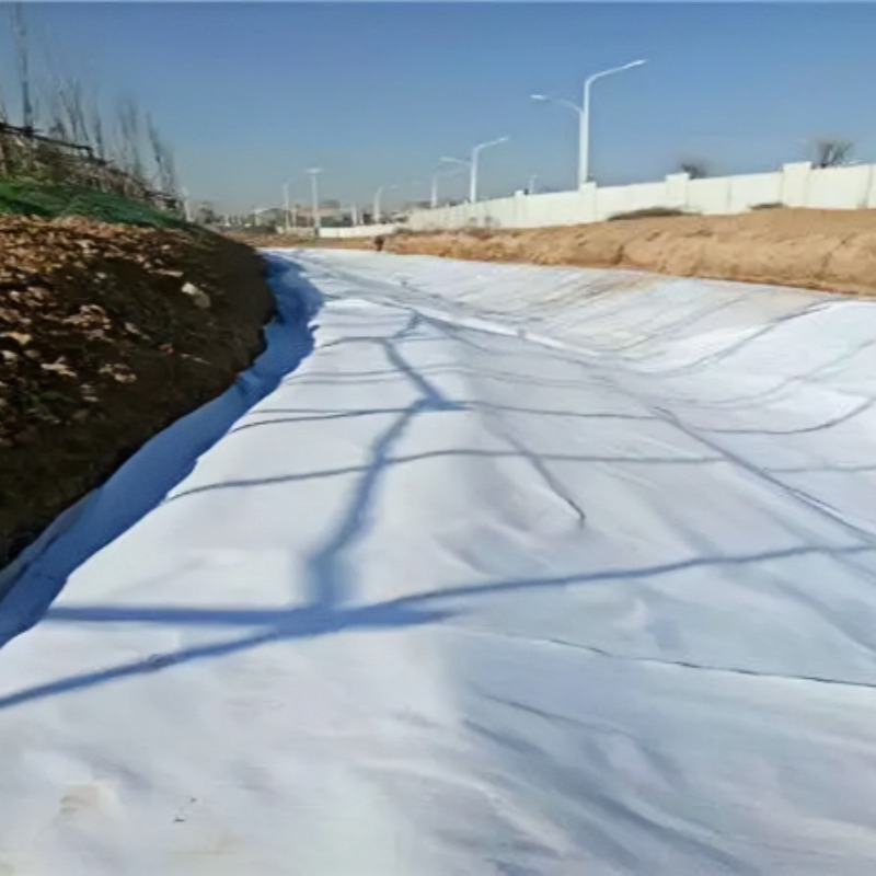 Durable PP Geotextile Fabric for Construction and Agriculture