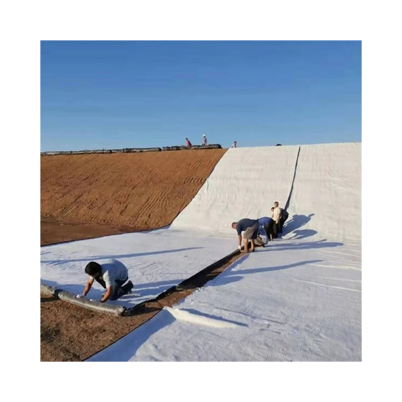 5000GSM HDPE Gcl / Geosynthetic Clay Liner Anti-Corrosion Waterproof