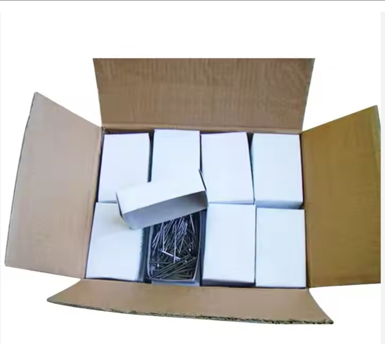 Good Quality 6cm 8cm 10cm Polished Iron Nail Common Nails Product for Building