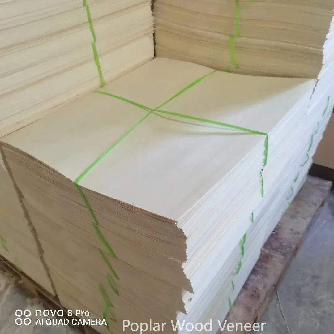 Rotary Cut Natural Veneer Wood Thickness 0.30mm Bleached Poplar Veneer