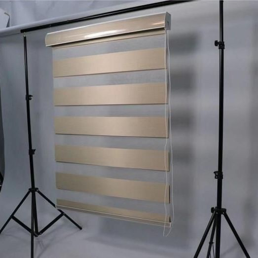 Remote Control Custom Hotel Motorized Zebra Blinds Blackout Vision Blind