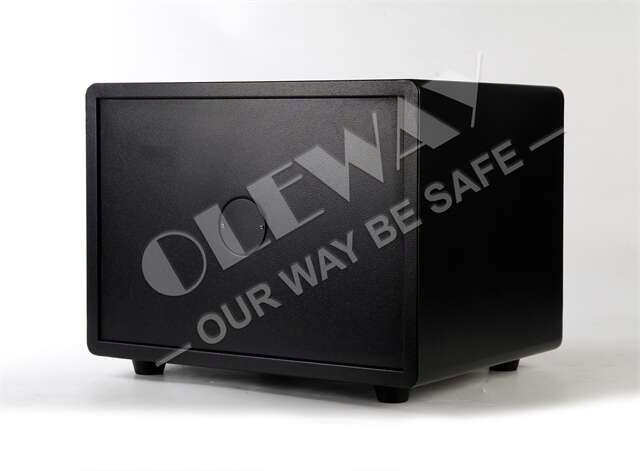 Fireproof Safe Box Fingerprint Safe Box Good for Home and Office Use