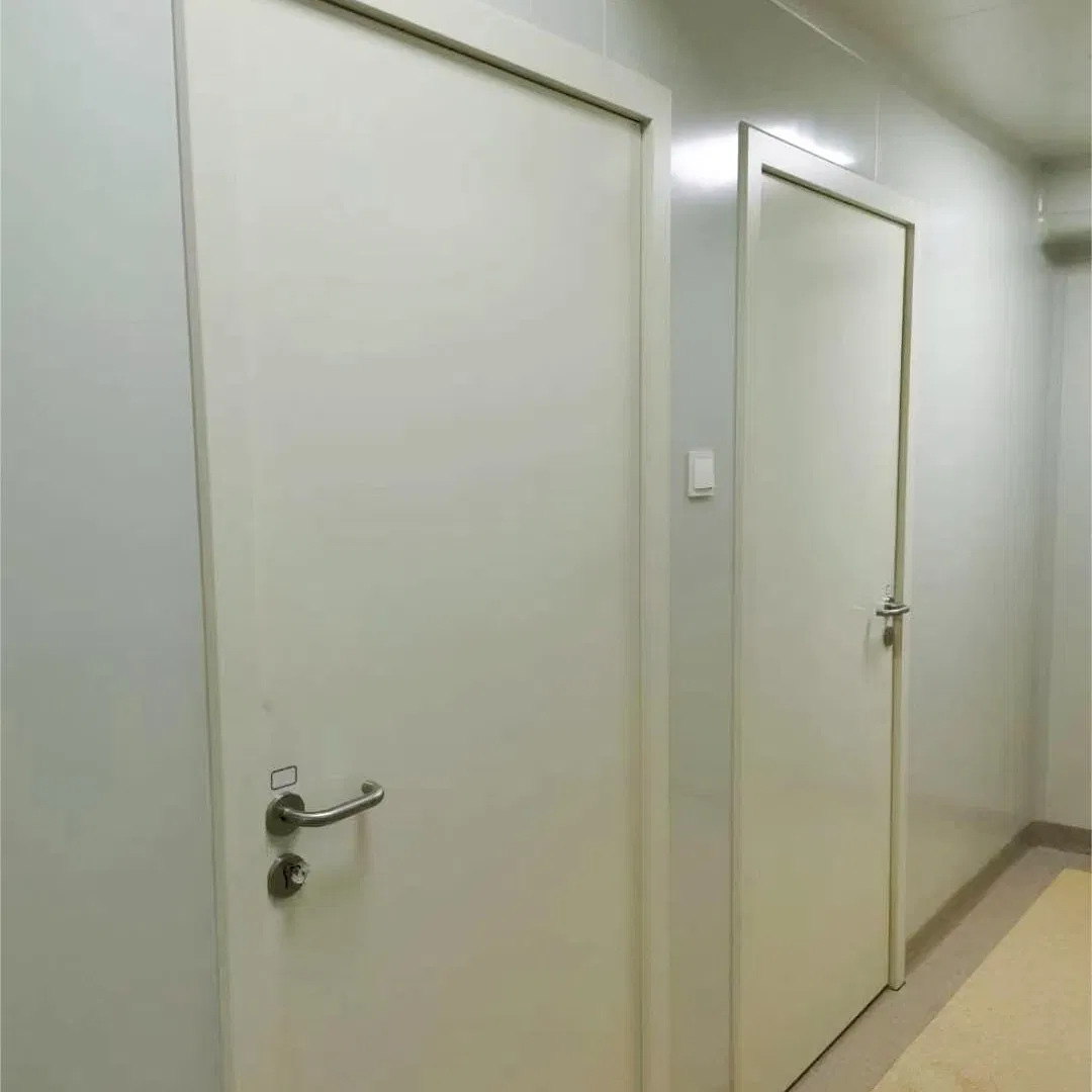 CE Certified Air Tight Leaf High Performance Cleanroom Door Manufacturer Direct for Bio-Safety Purification