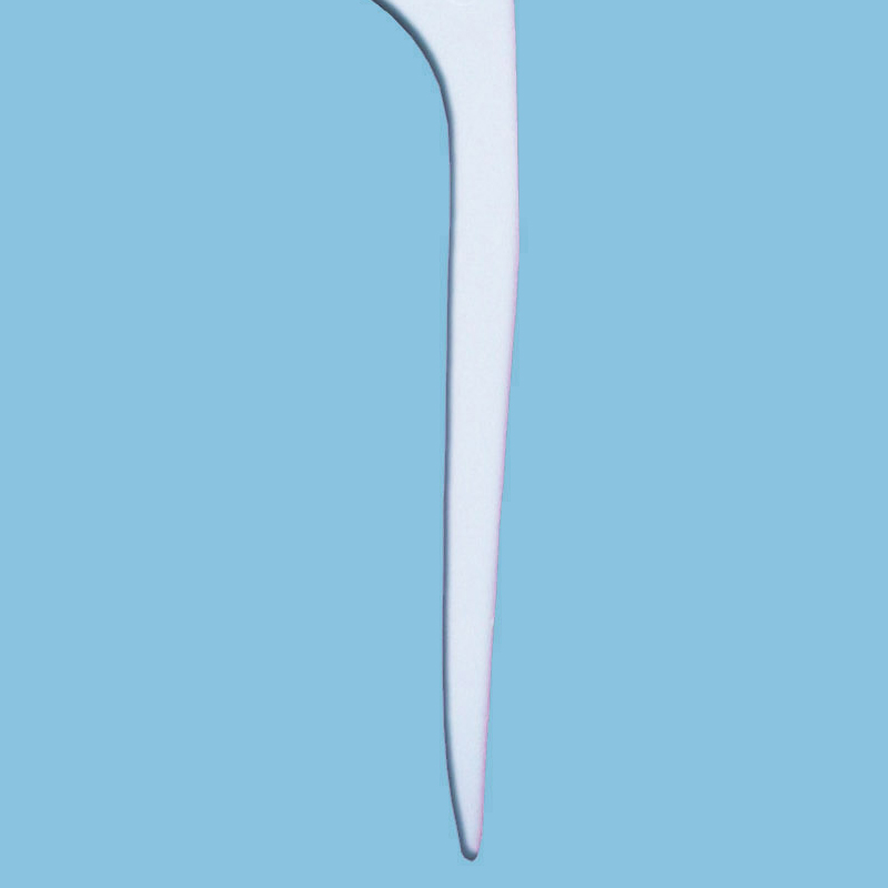 Floss Dental Floss Pick Oral Care Products