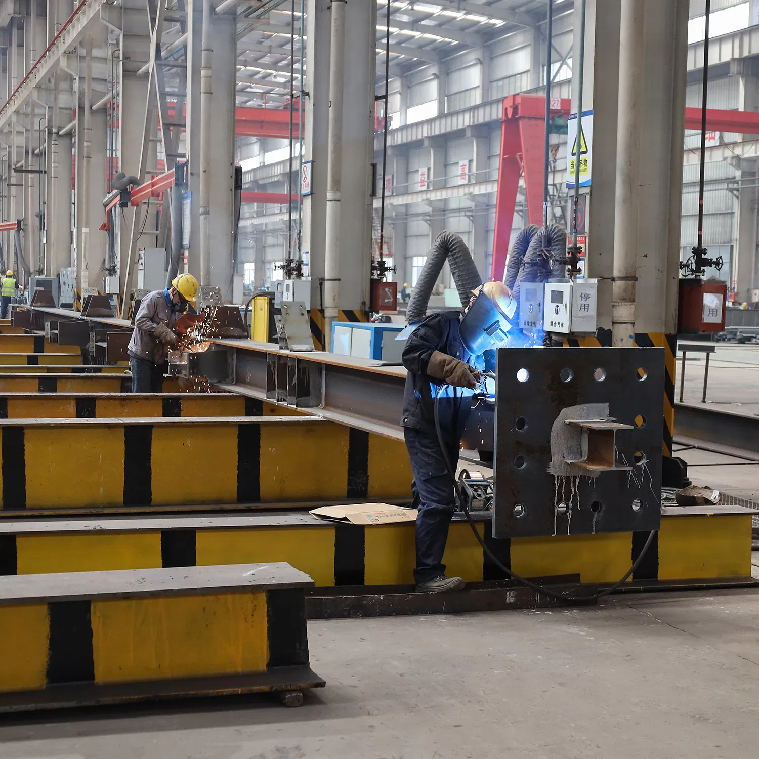 Famous Metal Steel Structure Building Workshop
