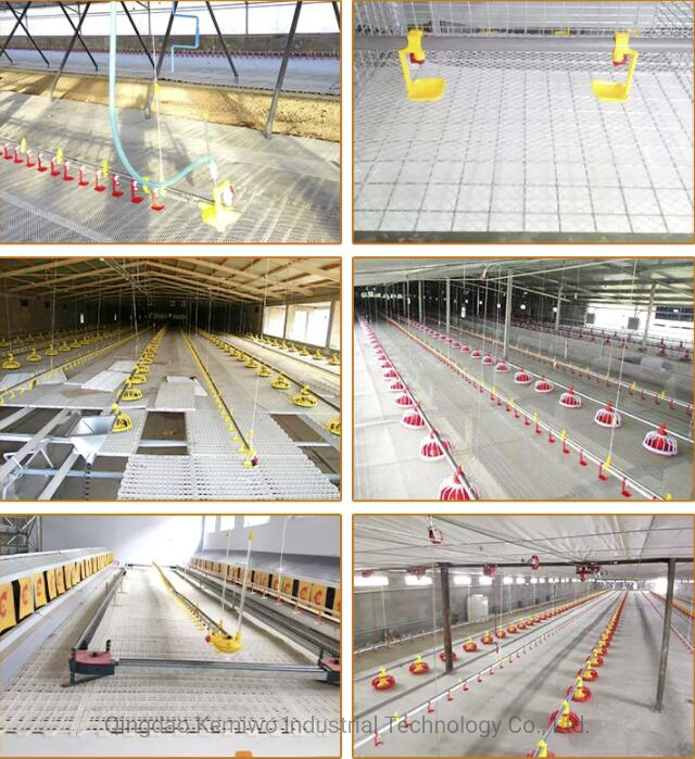 Poultry Equipment Layer/Broiler Feed Cutlery Plastic Tableware