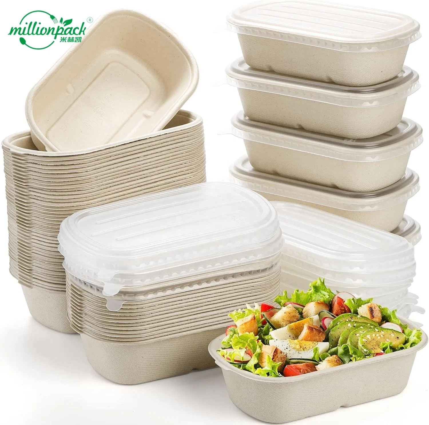 Biodegradable Disposable Sugarcane Bagasse Take Away Food Container Lunch Paper Box
