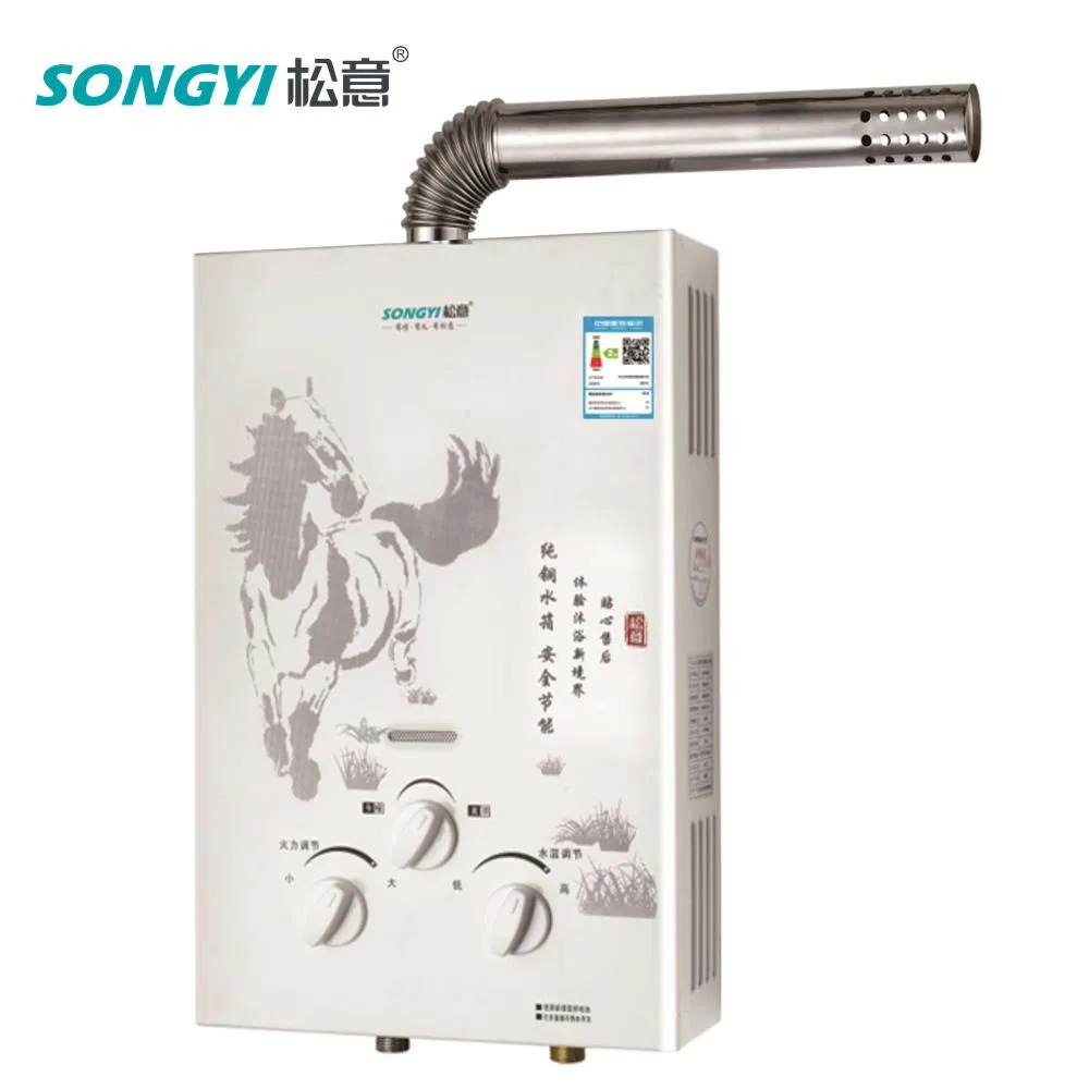 Camping Geyser Intelligent Tankless Gas Water Heater Indoor Heating