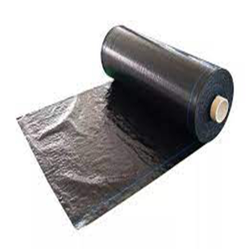 Heavy-Duty PE Geotextile Weed Control Mat for Gardens
