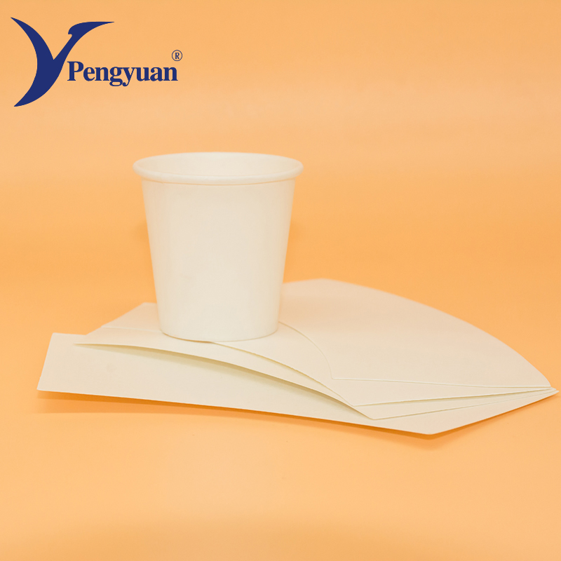 Design Printing Carton Packaging Paper Cup Fan