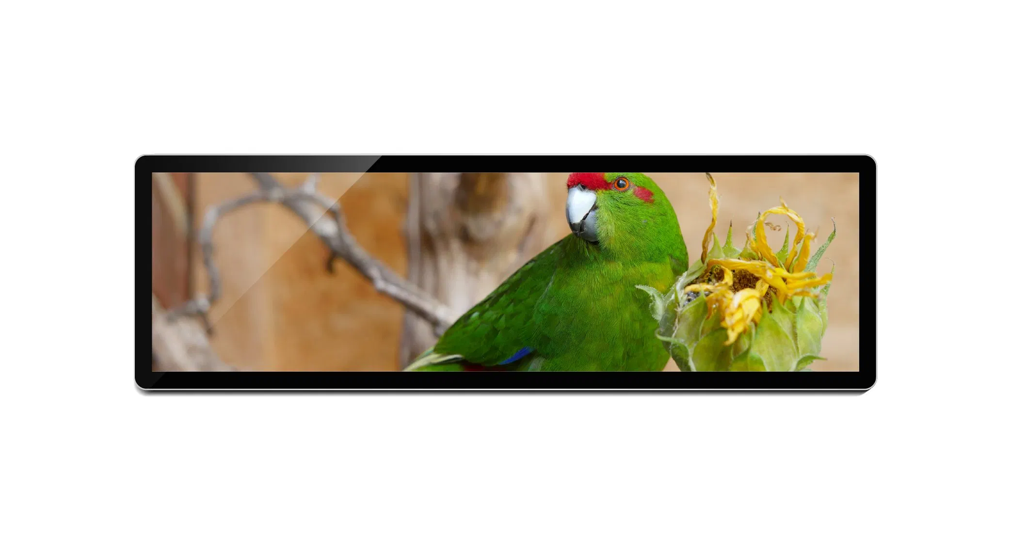 LED Backlit 28.6-Inch LCD Screen for Passenger Information