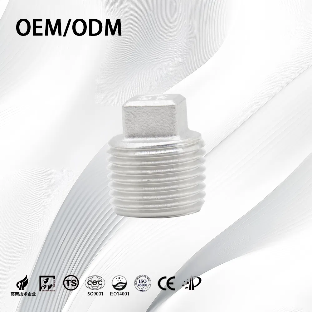Stainless Steel/Carbon/Sanitary/Customize/Nipple Connector Threaded/Pipe Fittings/Plumbing/Tube/End Plug with Fitting Accessories