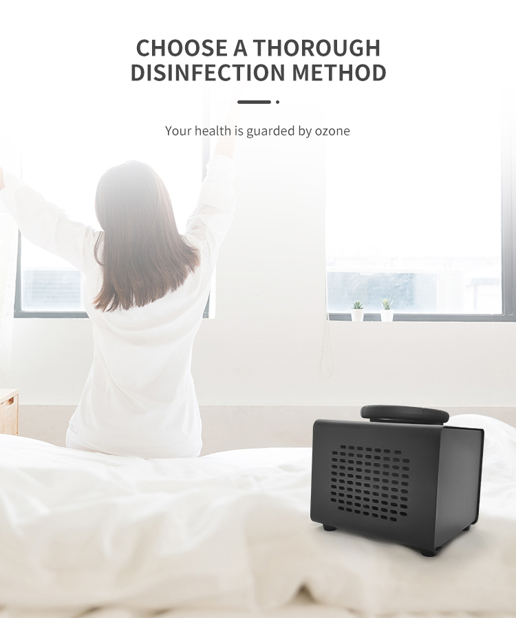 Mechanical Air Purifier Cleaner Sterilizer Disinfection Ozone Generator