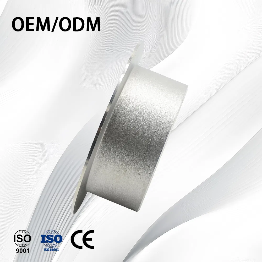 Stainless Steel Hot Forging Corrosion Resistant Butt Welding Flanging with Flanges
