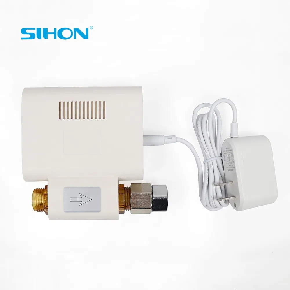 Hot Sale 500mg/H Ozone Washer for Household Water Disinfection Washing Clothes and Foods