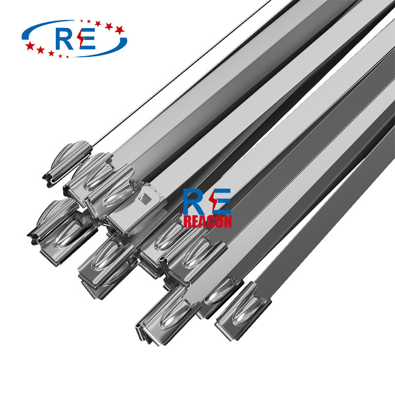 High Quality Stainless Steel Cable Tie---Uncoated Cable Tie with Ball Lock