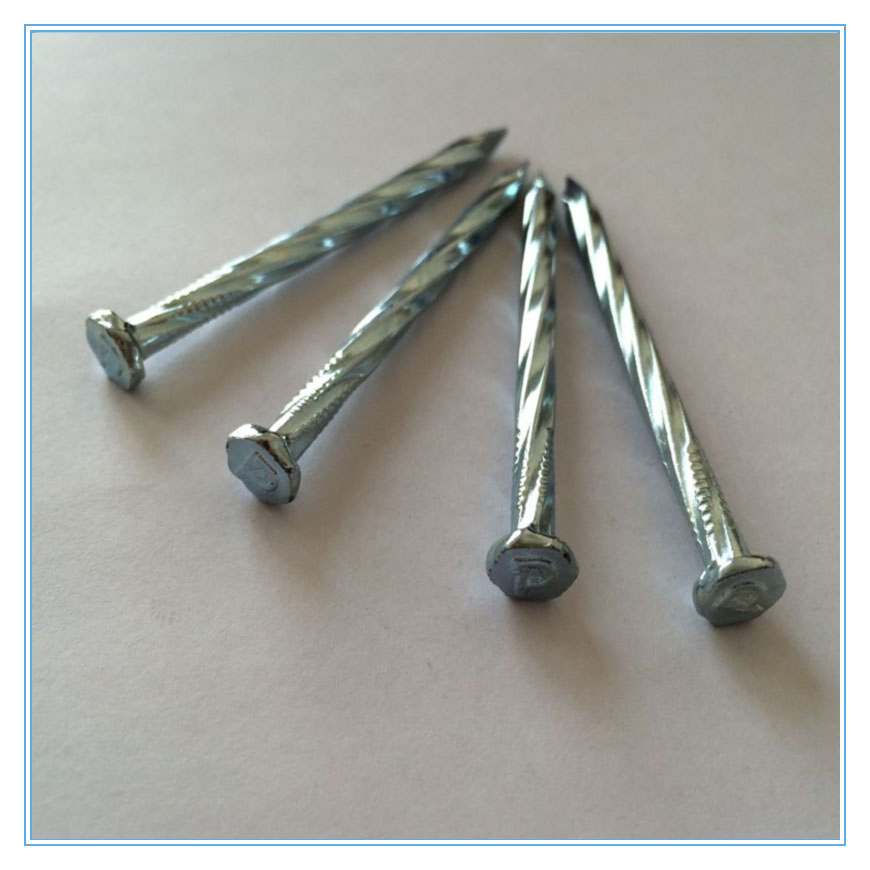 Electro Galvanized Concrete Nail with Smooth Shank for Construction
