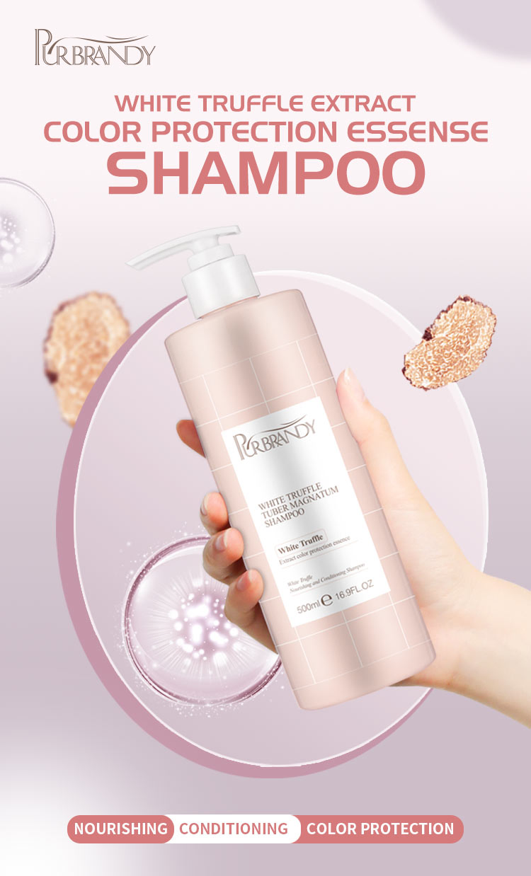 Wholesale Price Hydration Shampoo for Smooth Frizz-Control 500ml
