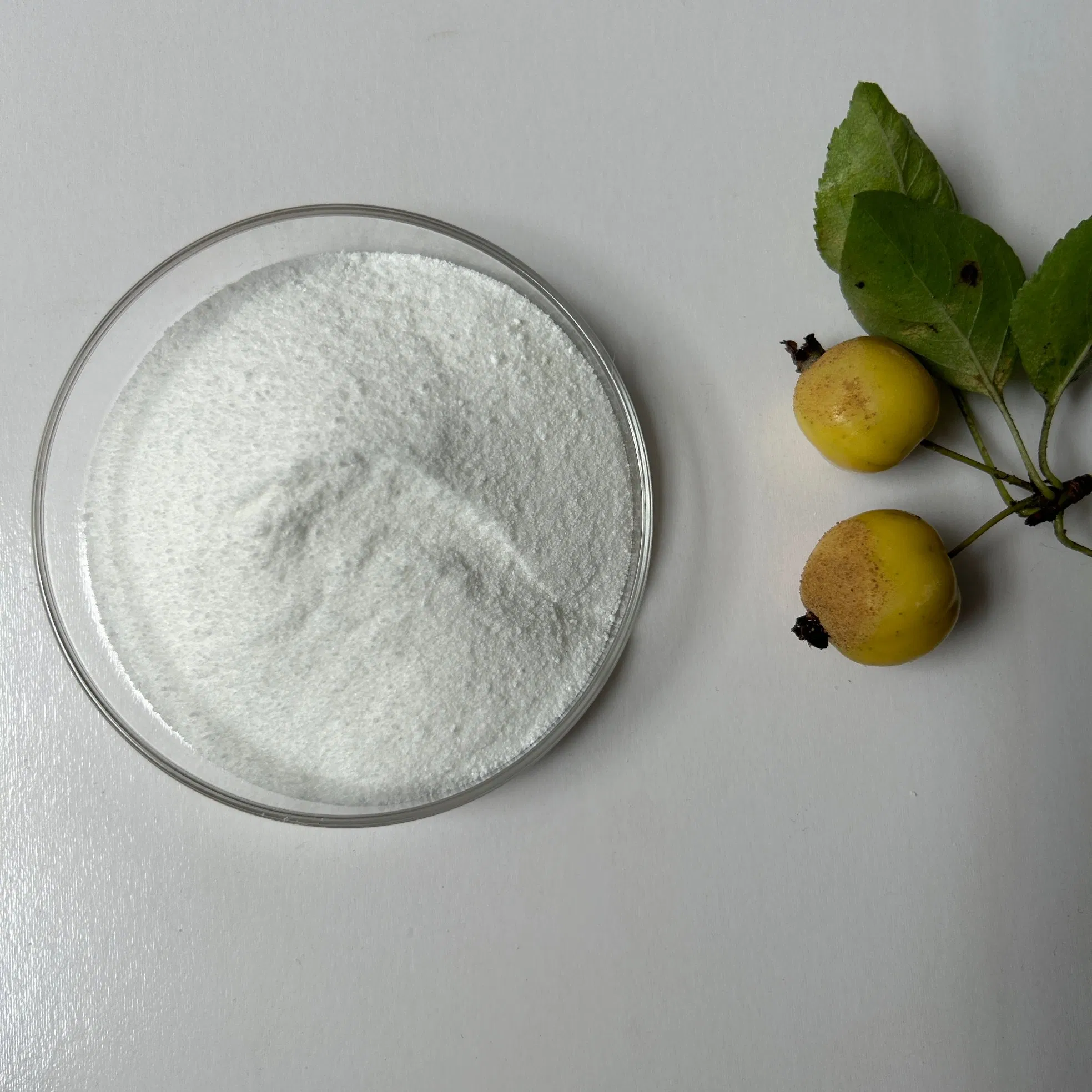 CAS No. 527-07-1 Factory Supply Industry Grade Sodium Gluconate for Used for Retarding Effect