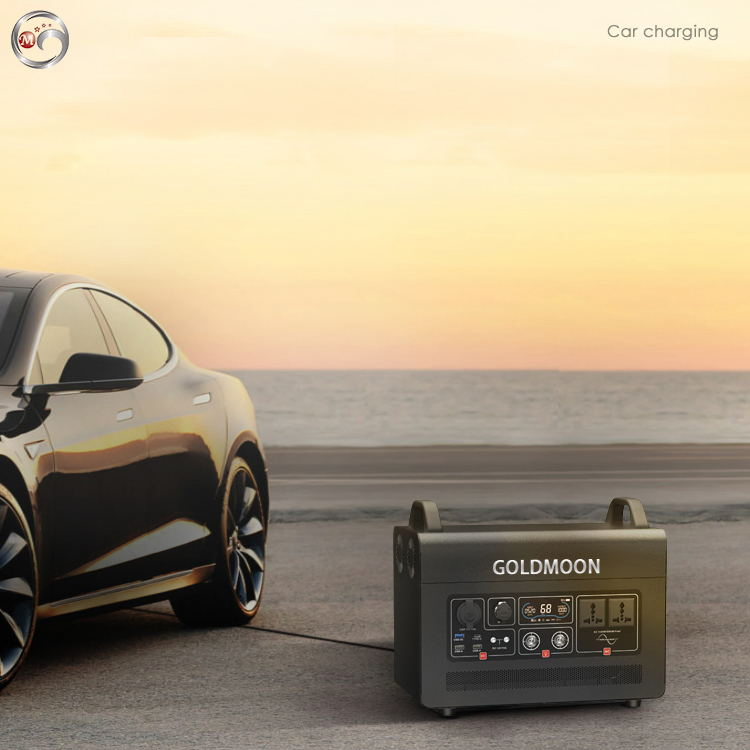 Camera Goldmoon Export Standard Carton Emergency Charger Portable Station Power Bank with CE