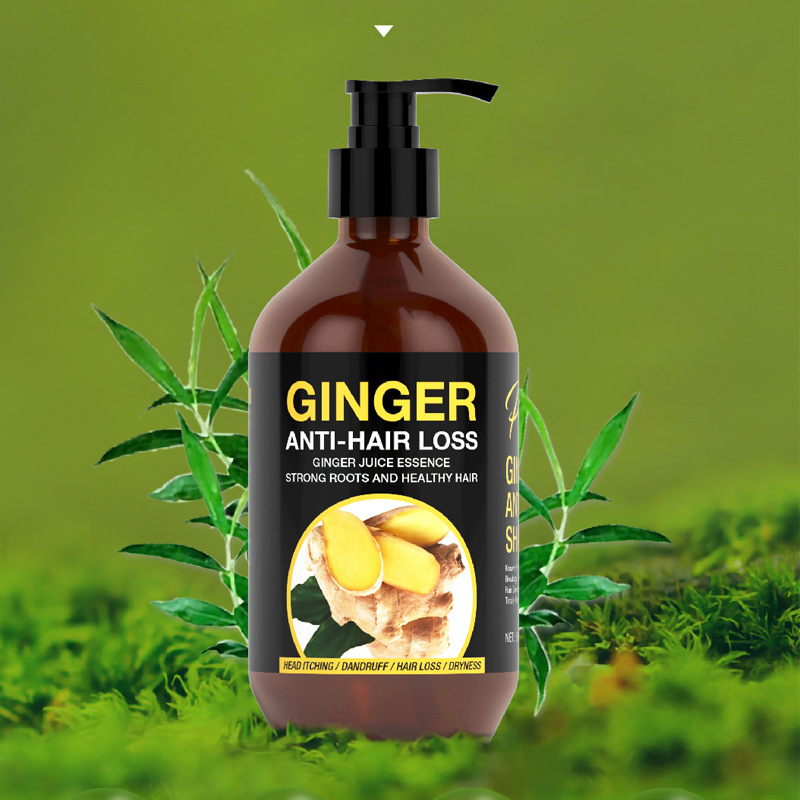 Beauty Cosmetics Hair Care Prevent Hair Loss and Moisturize Ginger Shampoo