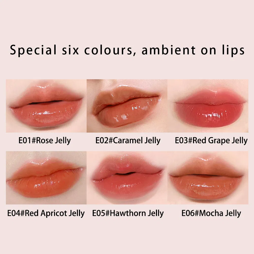 Enchanting Words Hydrating Essence Lip Gloss Lipstick OEM ODM