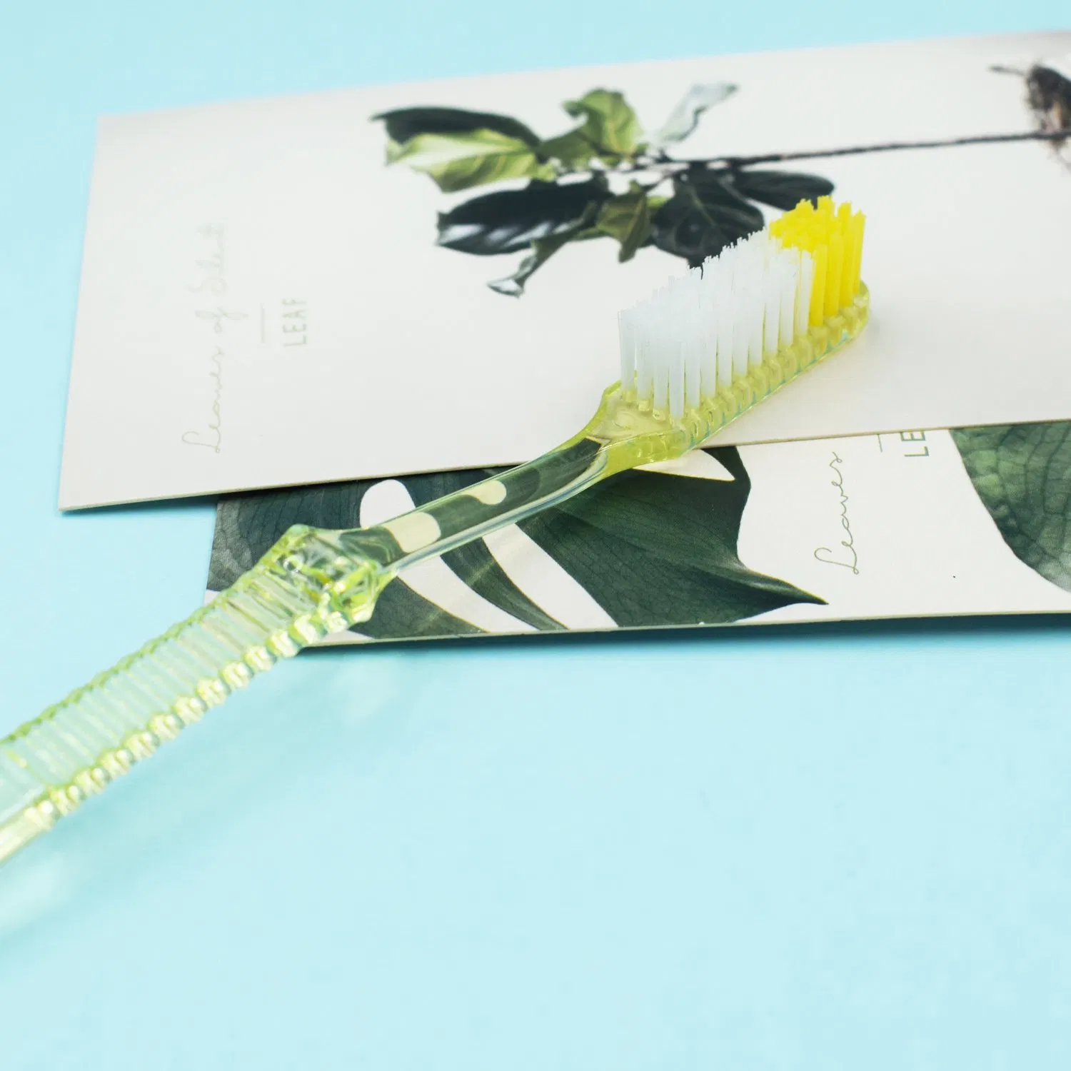 Wholesale Disposable Transparent Handle Large Brush Head Plastic Hotel Toothbrush Factory