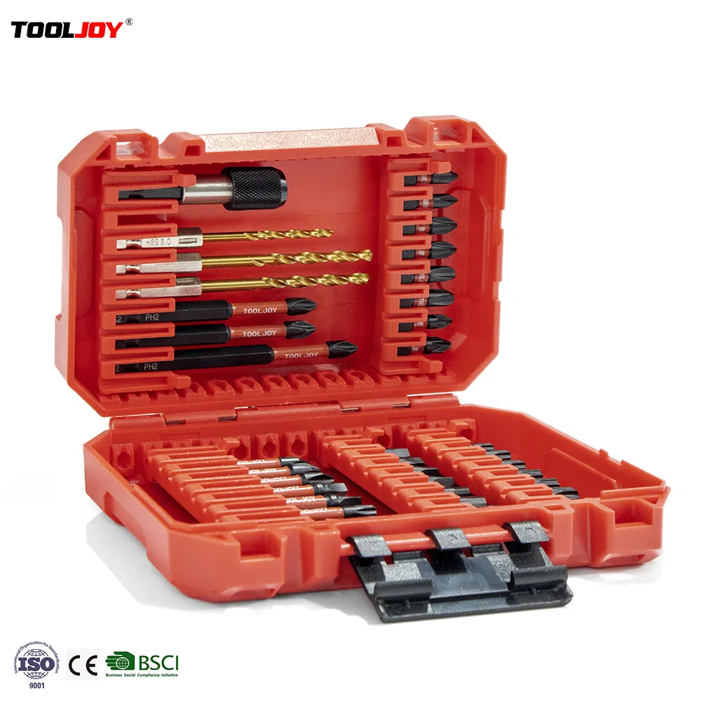 Impact Hex Head Bit Set 39CS 1/4 Inch Hex-Shank S2 Steel Screwdriver Bit Set