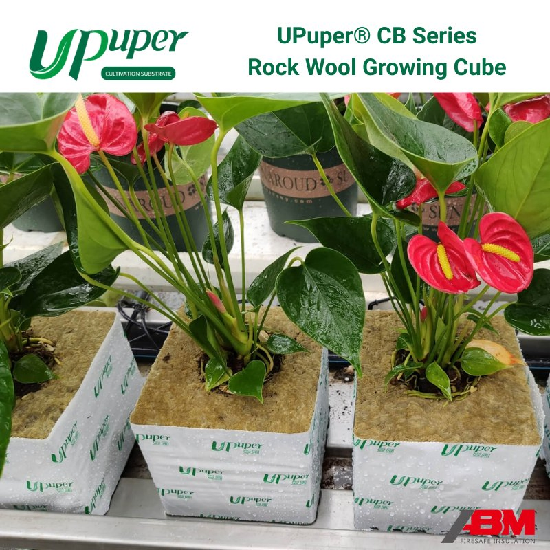 Upuper® CB Growing Block 4*4 Inch Smart Farm System Rose Plant Substrate Rock Wool Cubes for Seedling