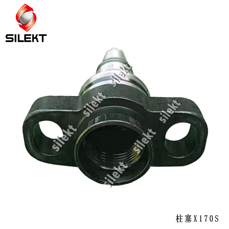 Weichai Diesel Fuel Injector Pump Plunger X170S for HOWO PS8500 OEM A85/131151