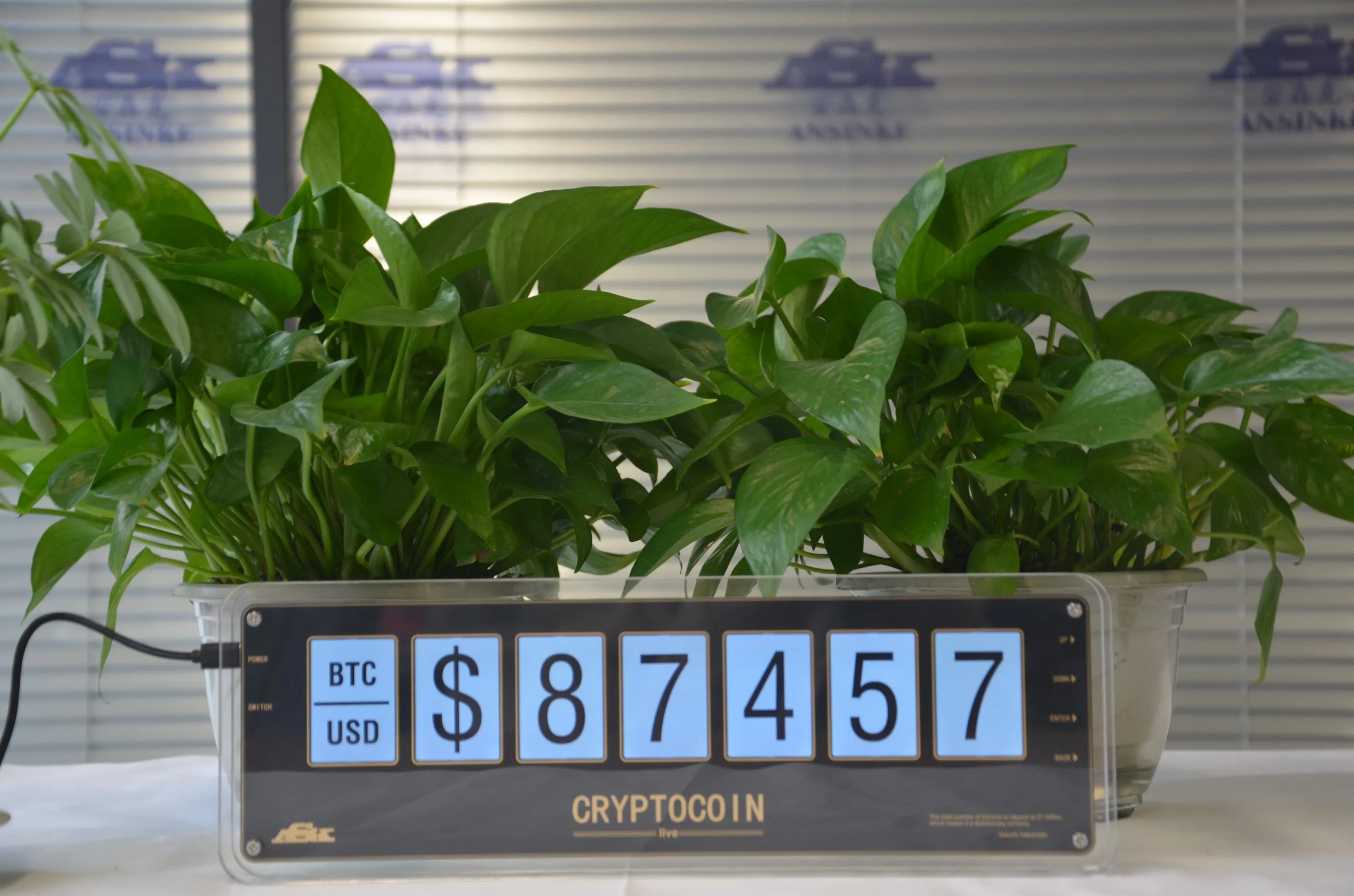 Xxx Video Customized Cryptocurrency Desk TFT Display Bitcoin Data Refreshed Every Minute Real-Time Display Machine Mini PC Monitor