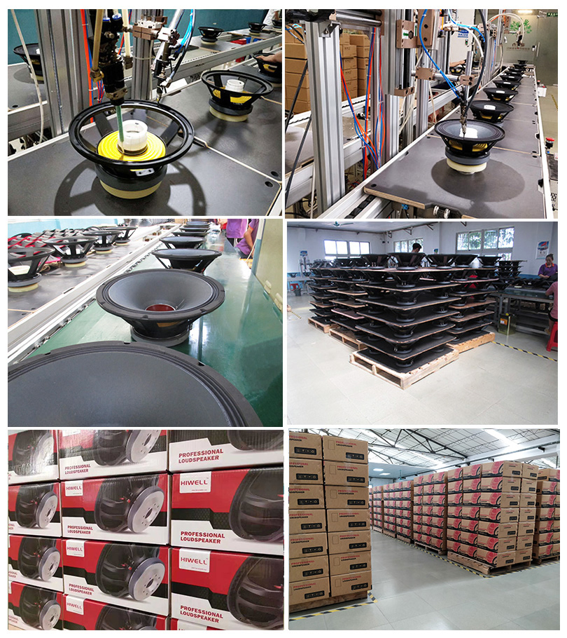 12'' Ferrite Manget Woofer Speaker, Octagon Frame Loudspeaker.