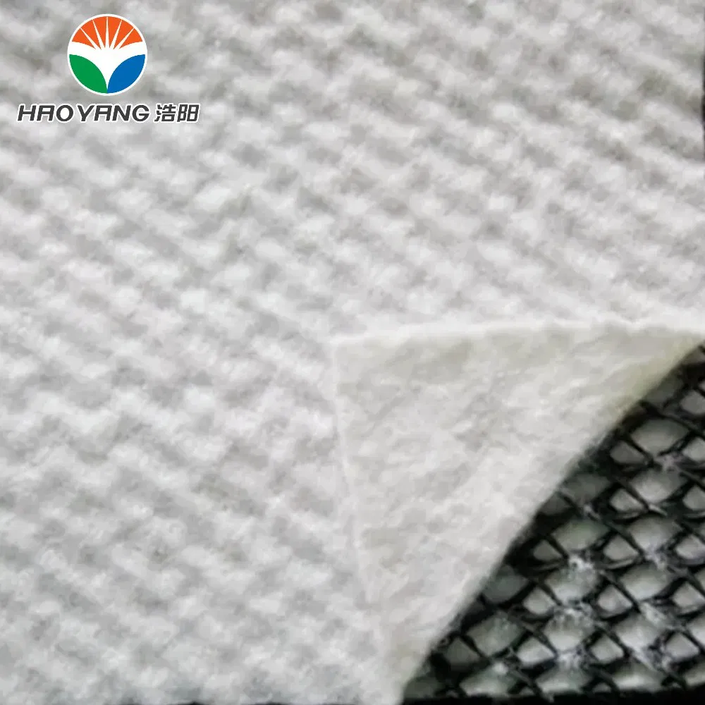 Wastewater Treatment Drainage Geonet, with PP Pet Geotectile