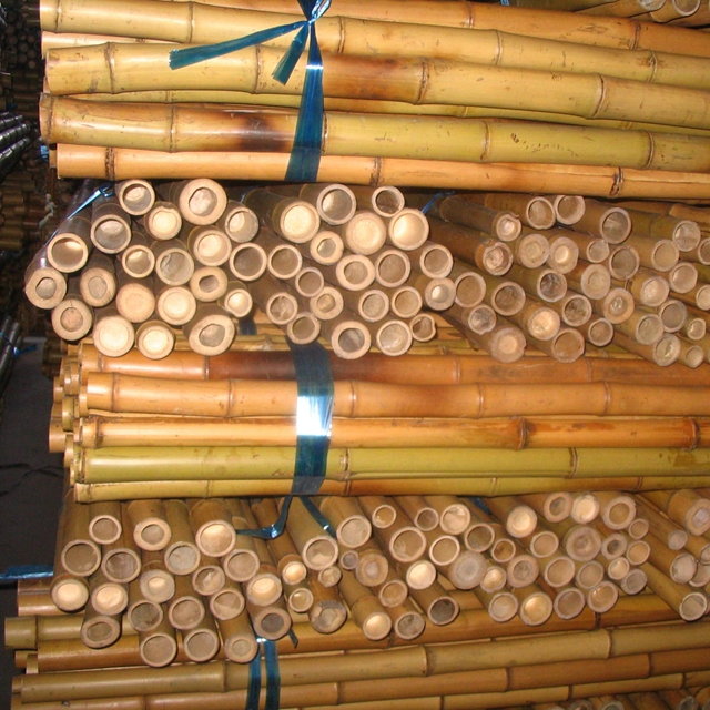 Round Bamboo Poles Bamboo Canes and Bamboo Sticks for Constructions and Decoration