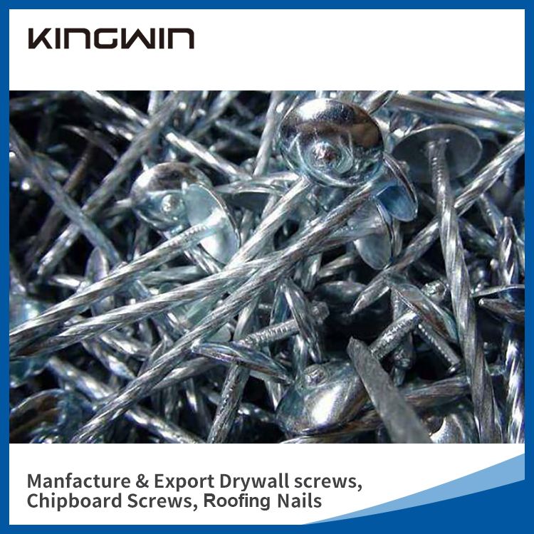 2.5"*9bwg Galvanized Umbrella Head Roofing Nails for Nigeria Market with Smooth Shank