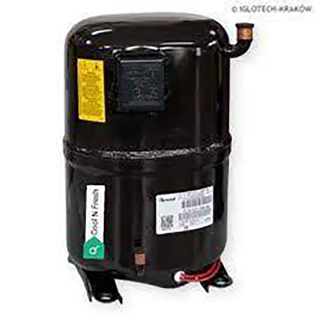 Best Price R600A DC 12V / 24V Refrigerator Compressor
