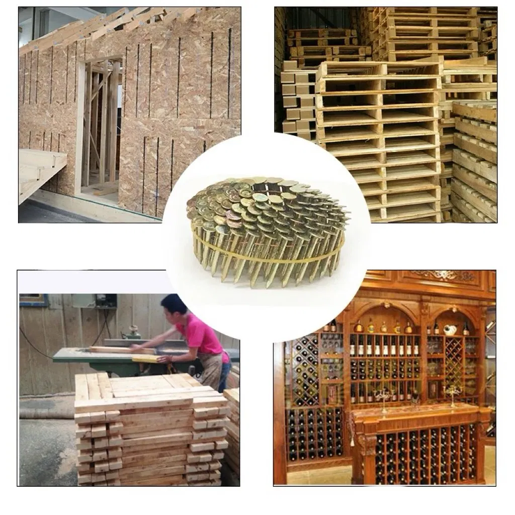 Factory Price Electro Galvanized Coil Roofing Ring Nails for House Construction/Pneumatic Nailer/Wooden Pallet Nail