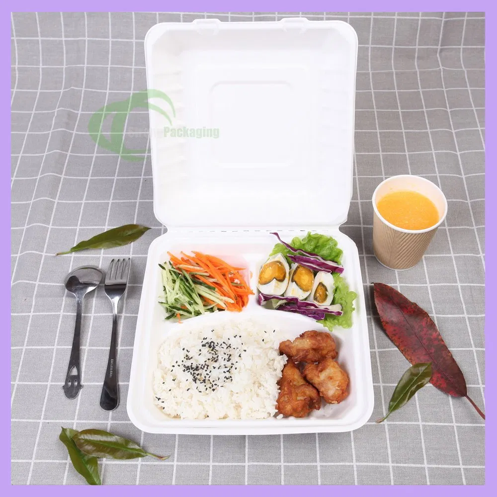 100% Compostable Takeaway Lunch Box Sugarcane Bagasse 3-Compartment Pulp Clamshell