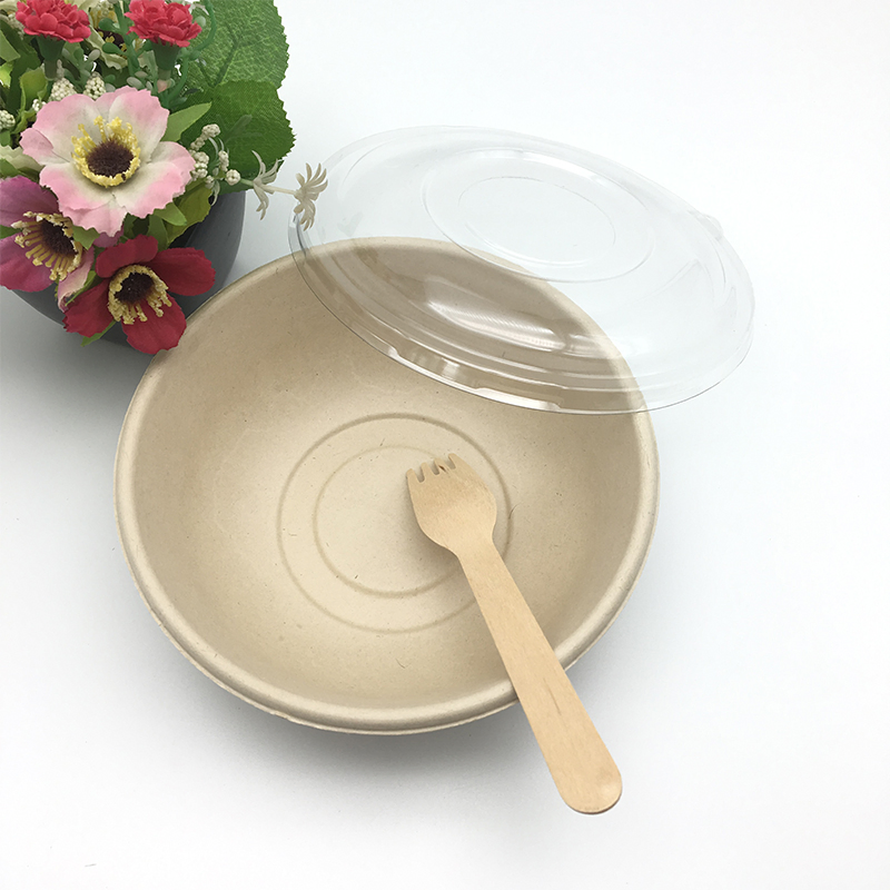 Heavy Duty Tableware Biodegradable Sugarcane Salad Bowl with Fork and Spoon